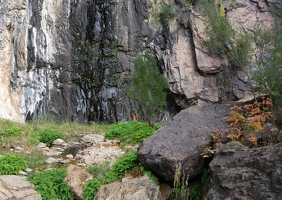 Cattail Falls